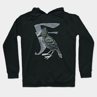 Avian Alphabet F - Undulated antshrike Hoodie